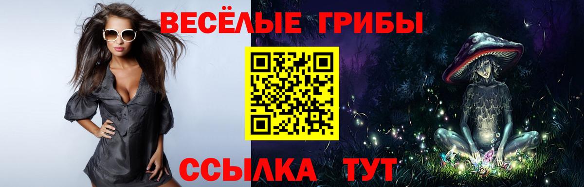 Галлюциногенные грибы MAGIC MUSHROOMS  Псилоцибиновые грибы ЛСД  Рассказово  Вход с VPN 
